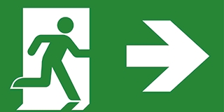 Noodverlichting Pictogram PPT315/52-53/DZ ISO (Van Lien)